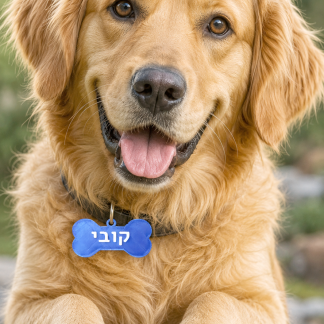 תג שם מפלסטיק לכלב בצורת עצם – עם שם ומספר טלפון בהתאמה אישית