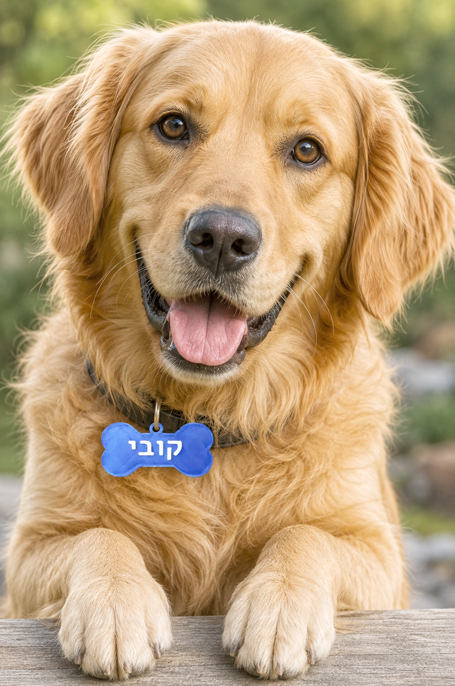 תג שם מפלסטיק לכלב בצורת עצם – עם שם ומספר טלפון בהתאמה אישית